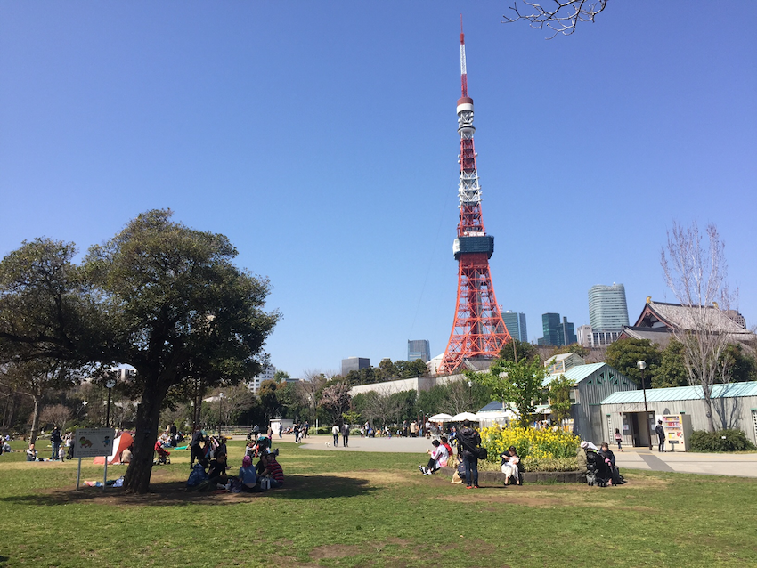 桜は少ないが、晴れ渡る青空と東京タワーのコントラストが美しい区立芝公園